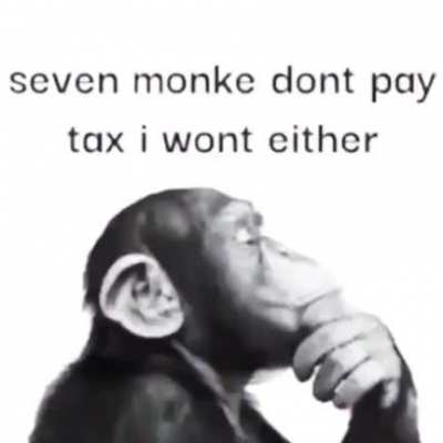 we live in a society
