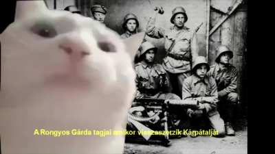 Horthy Mikl&oacute;s cic&aacute;ja vagyok