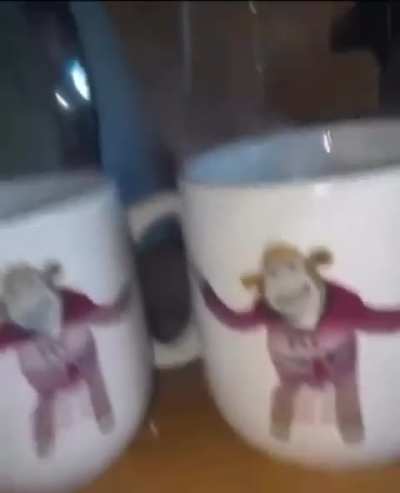 Canecas