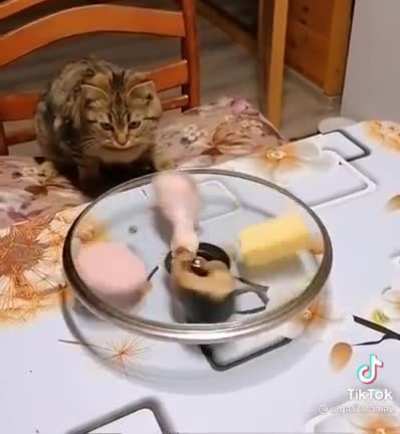 Сектор приз