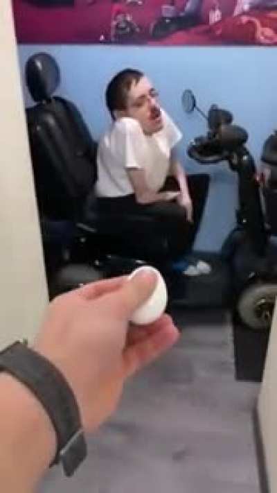 Egg challenge