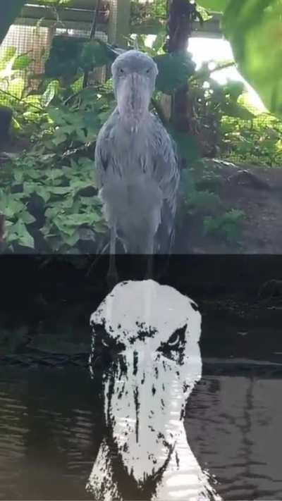 Eu sei onde voc&ecirc; mora 