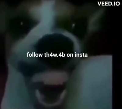 follow
