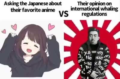 Society and weebs