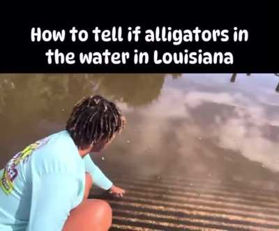 How to tell if there are alligators in the water in Louisiana