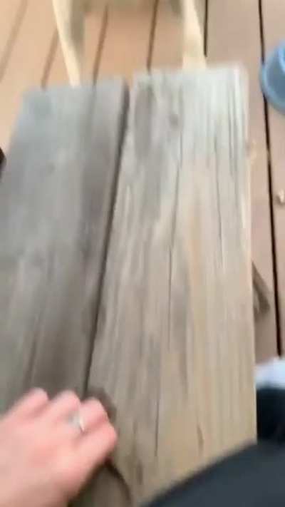 Please throw that huge stick