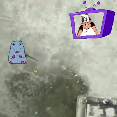 Stupid rat is fucking die