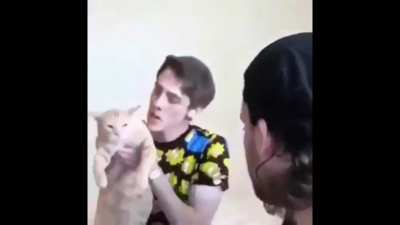 KC:AU (cat doesnt actually get hit)