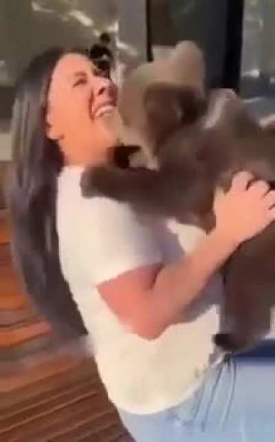 "We choose the bear every time" 