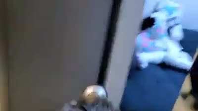 Furry surprise