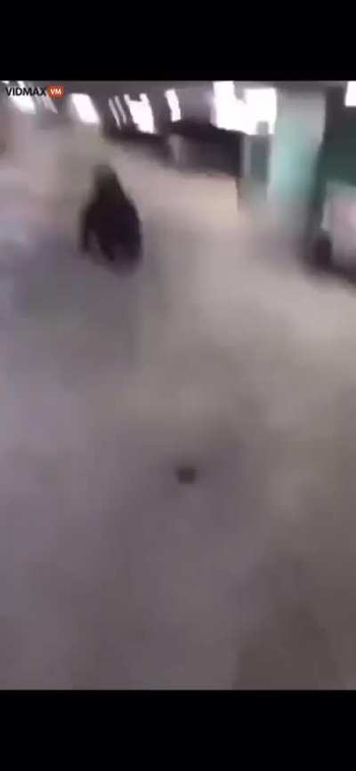 swedish rapper gaboro killed on camera (POV)