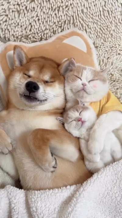 Adorable petite family