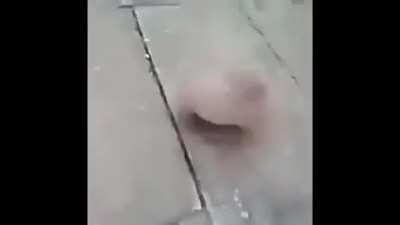🍩