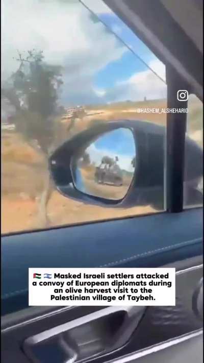 Masked Israeli &ldquo;settlers&rdquo; attacked and injured European diplomats during an Olive harvest.