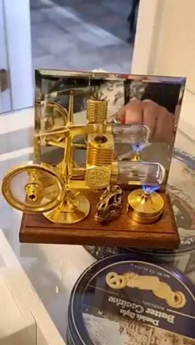 A "Stirling engine" which converts heat energy into mechanical energy.