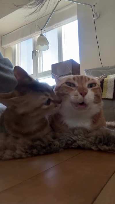 creature
