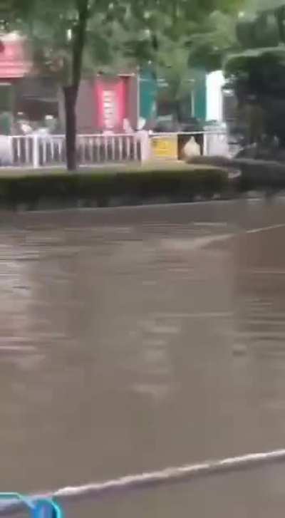 A fisherman