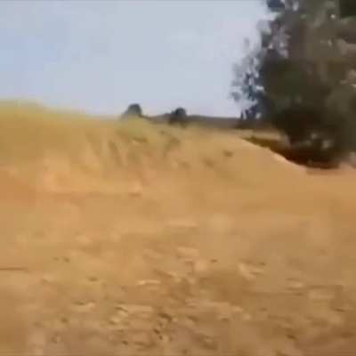Xd