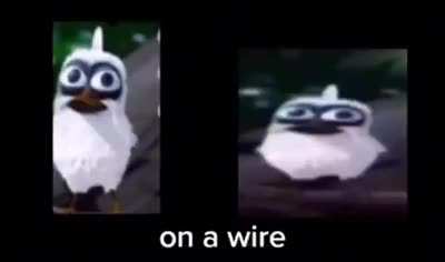 die