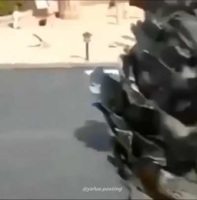 SAS