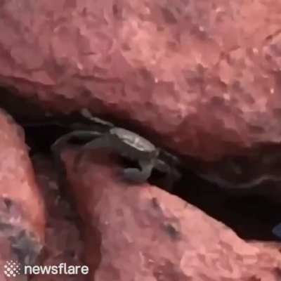 He's gonna fuck you up