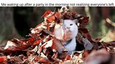 Where'd everyone go?