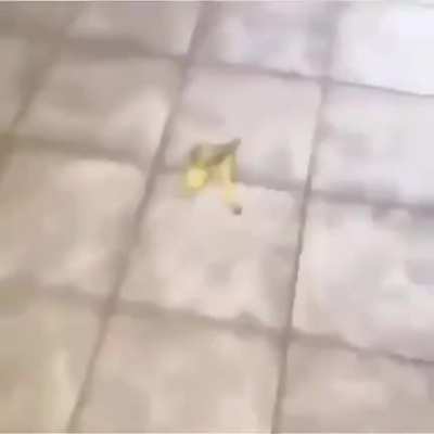 has this been posted here yet?