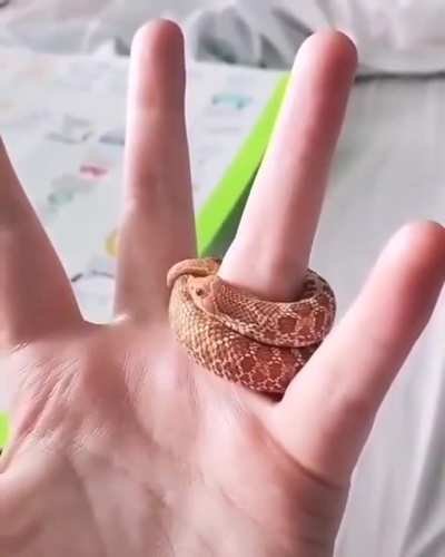 tiny unit