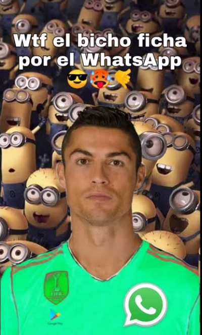 el bicho ficha por el WhatsApp 😎🥵🤙