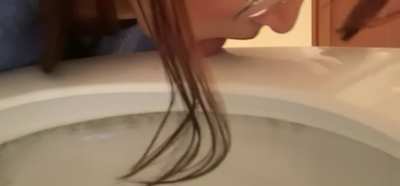 You&rsquo;re personal toilet cleaner