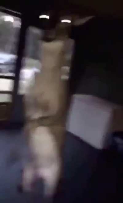 X1