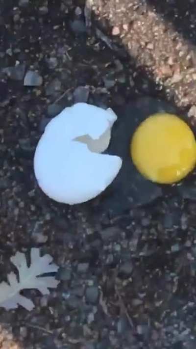 egg time