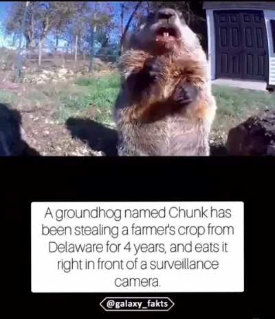 It&rsquo;s Chuck&rsquo;s world those farmers are just living in it.