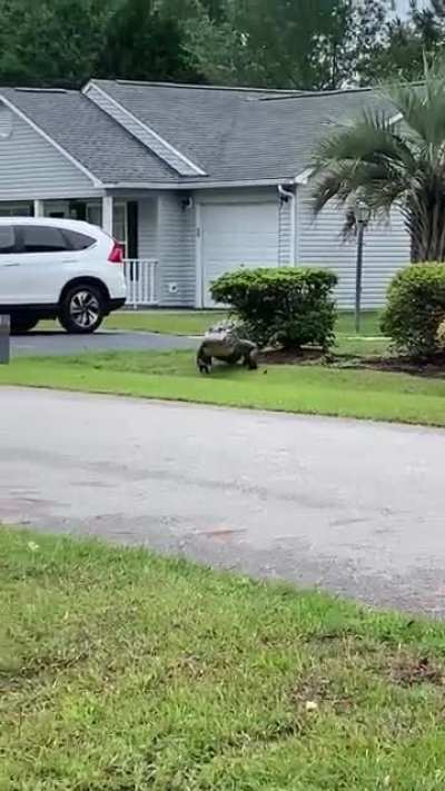 🤣