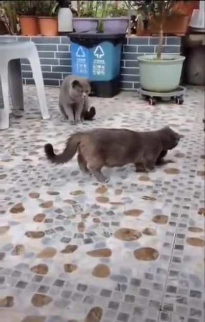 maybe maybe maybe
