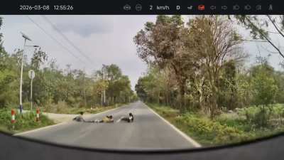 Kids pretend to be speed bumps!