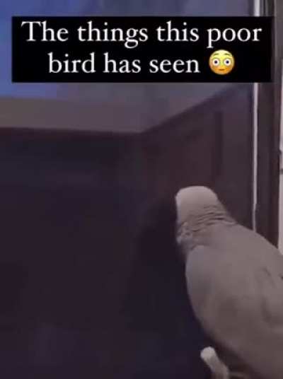 Meme of the day (2 of 3)