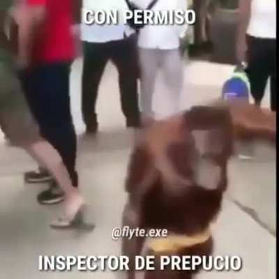 Inspecci&oacute;n de prepucio