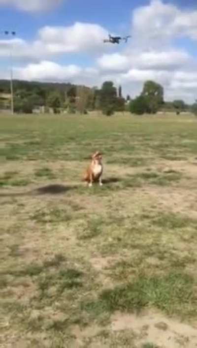 Incoming