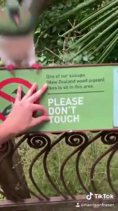 I am disagree.