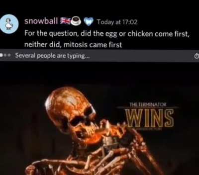 Nice