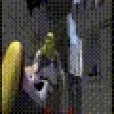 The entirety of Shrek 1 as a gif