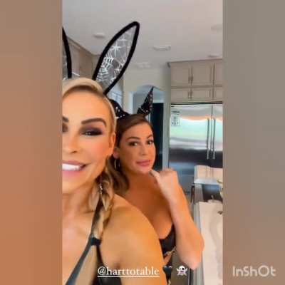 The Sexy Niedharts Smashing it again.