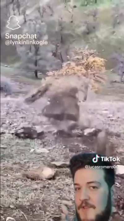 🦍🦍🦍