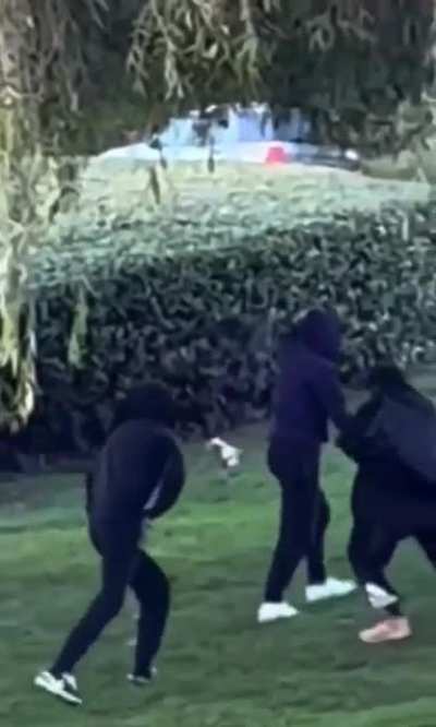 Photographer refuses to give up his camera in armed robbery attempt in San Francisco