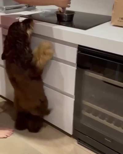 It's called the Dinner Time Jive