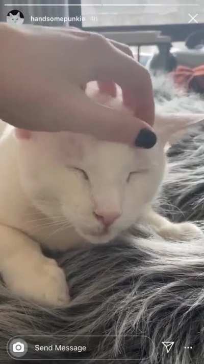 Cronch