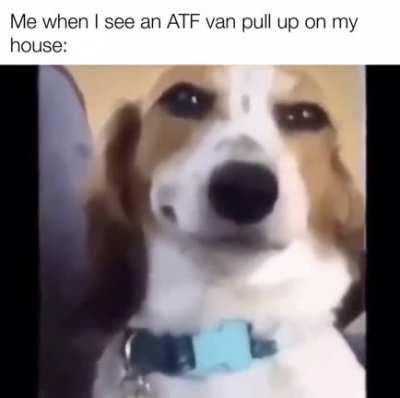 Me irl