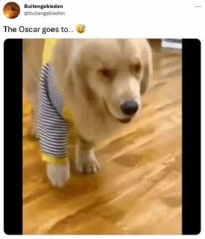Too cute