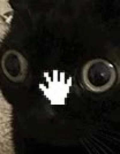 Me with my cat
